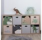 Dinosauři