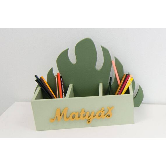 Box s přihrádkami, tužkovník - list monstera